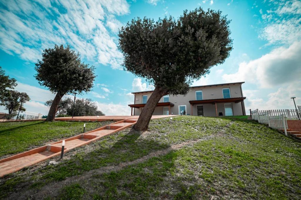 Agriturismo Il Colle Dei Lecci Анкона Экстерьер фото
